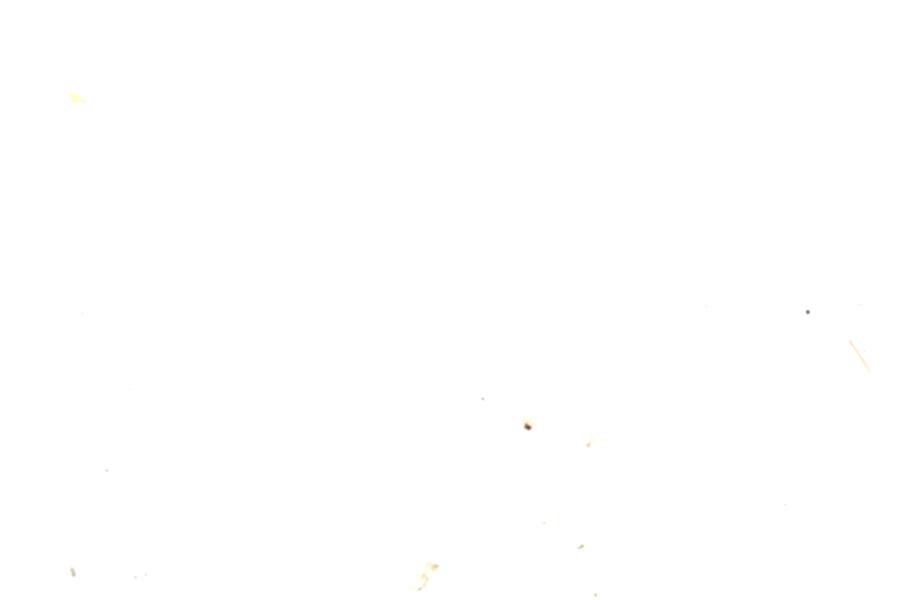 Image 92